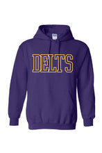 Load image into Gallery viewer, DELTS Hoodie
