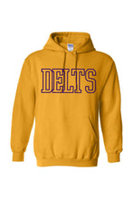 Load image into Gallery viewer, DELTS Hoodie
